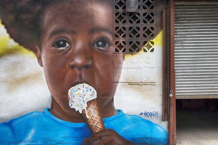 Bronx Murals - Sexer